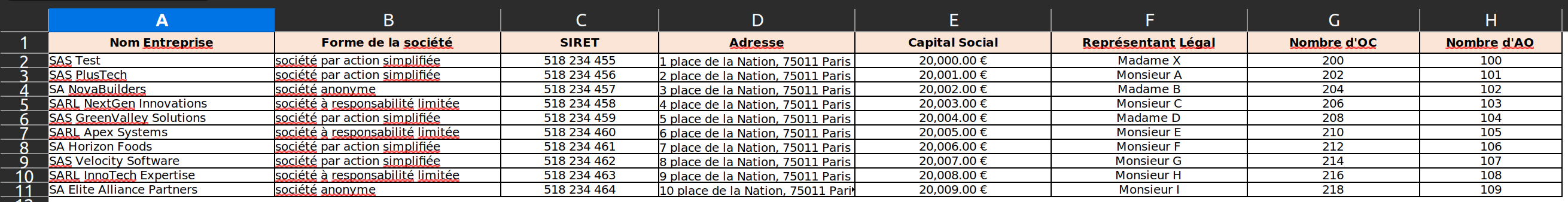 A screenshot of the mock Excel file used